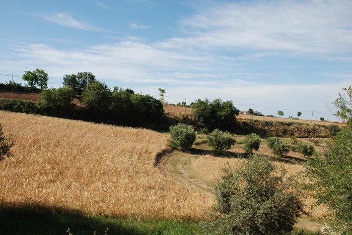 Briciola Di Sole Guest House Гротамаре Екстериор снимка